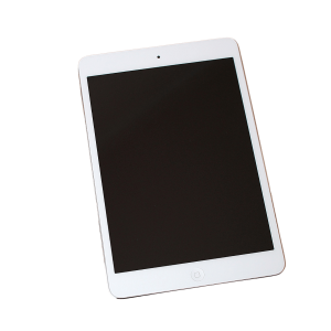product (1)